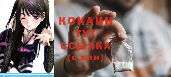 тгк Абаза
