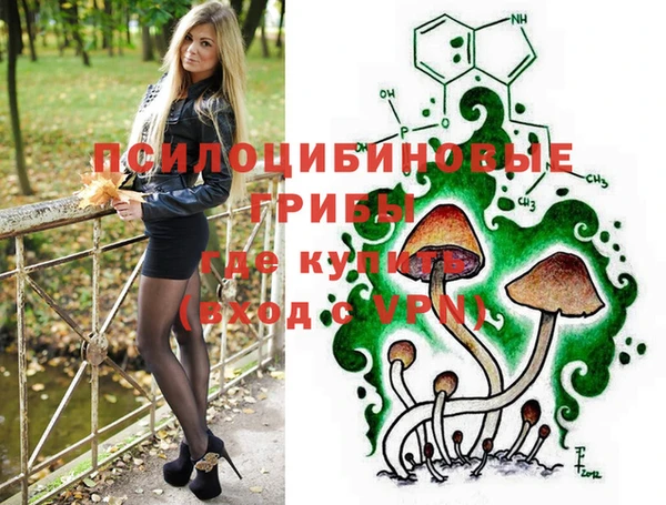 тгк Абаза