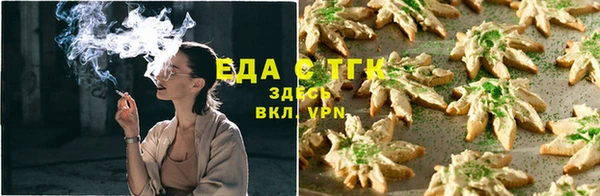 тгк Абаза