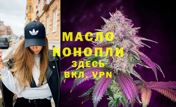 тгк Абаза