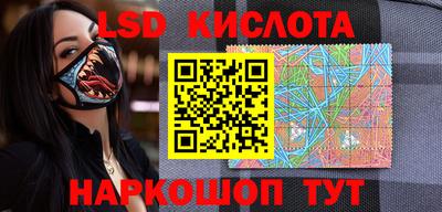 индика Славгород