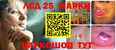 индика Славгород