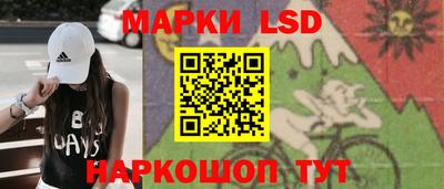индика Славгород