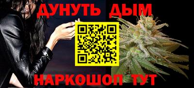 индика Славгород