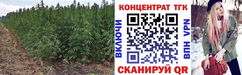 площадка какой сайт  Ростов-на-Дону  Дистиллят ТГК концентрат  цена наркотик 