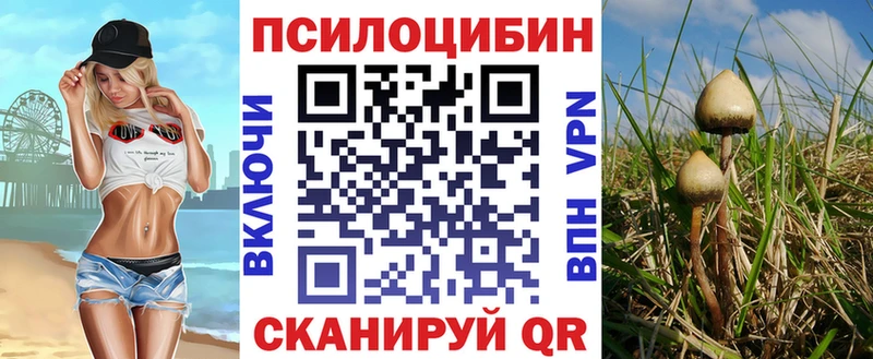 Галлюциногенные грибы Psilocybe  Ростов-на-Дону 