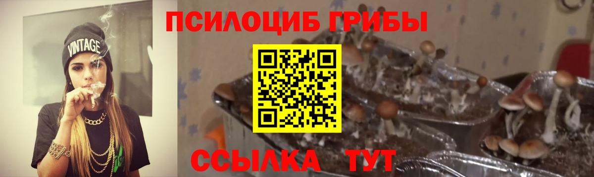Галлюциногенные грибы GOLDEN TEACHER  Галлюциногенные грибы ЛСД  Вход с VPN  Ростов-на-Дону 