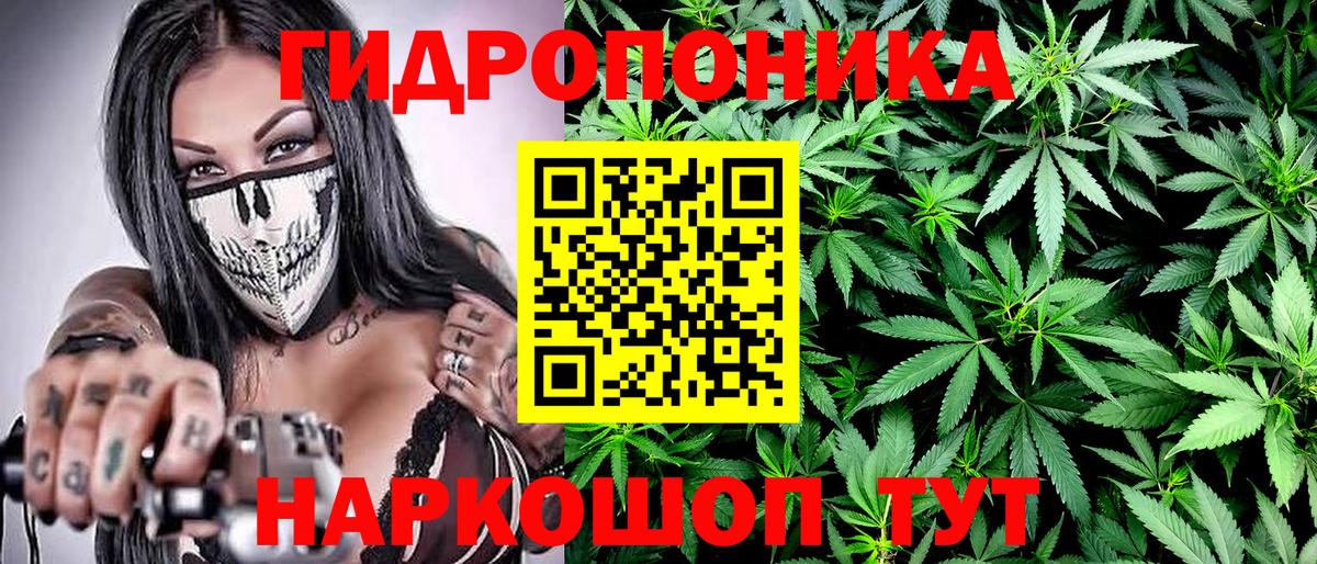 Ростов-на-Дону  МАРИХУАНА OG Kush  Шишки марихуана Amnesia  Бошки марихуана Bruce Banner  Вход с VPN  Каннабис сатива 